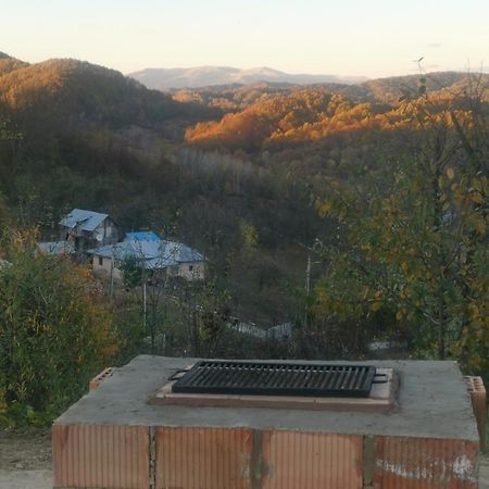 Cabanuta Fara Fite Villa Provita de Jos Exterior photo